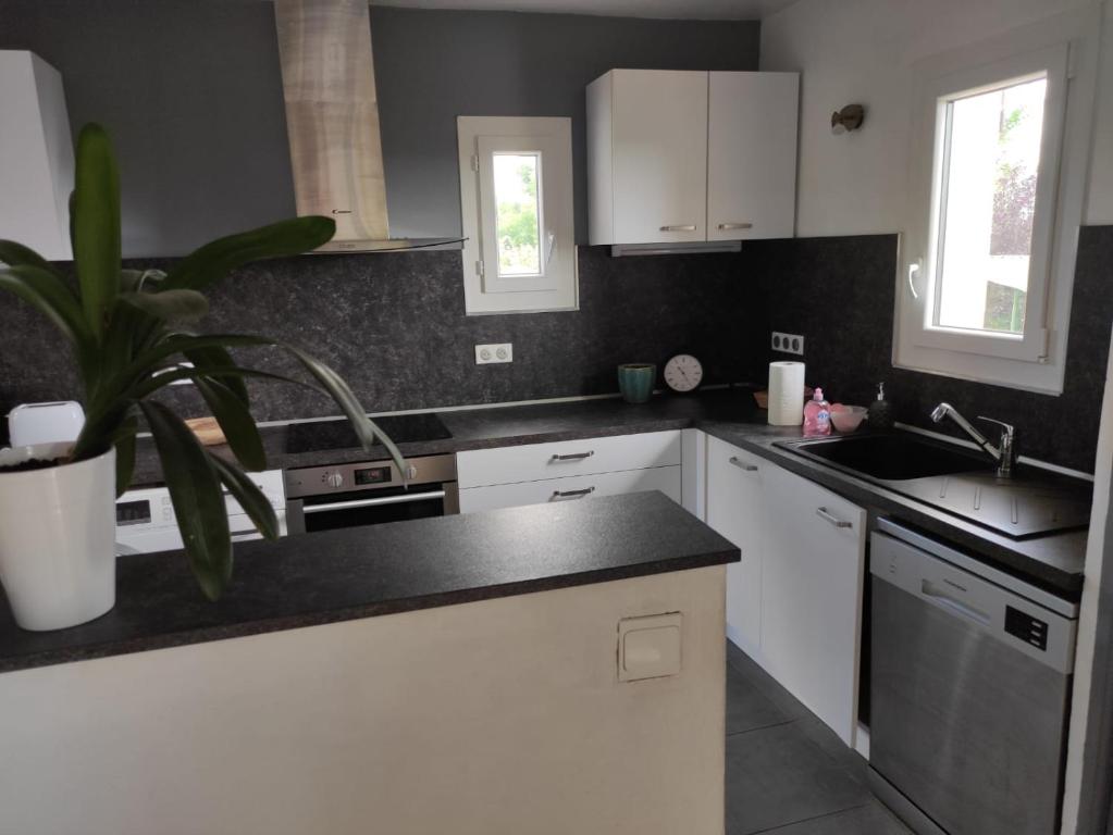 eine Küche mit weißen Schränken und einer Topfpflanze in der Unterkunft Maison de vacances La Quercynoise in Flaujac-Poujols
