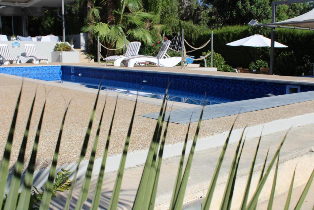een zwembad met stoelen en een hek ernaast bij St.George's Country Retreat in Limassol