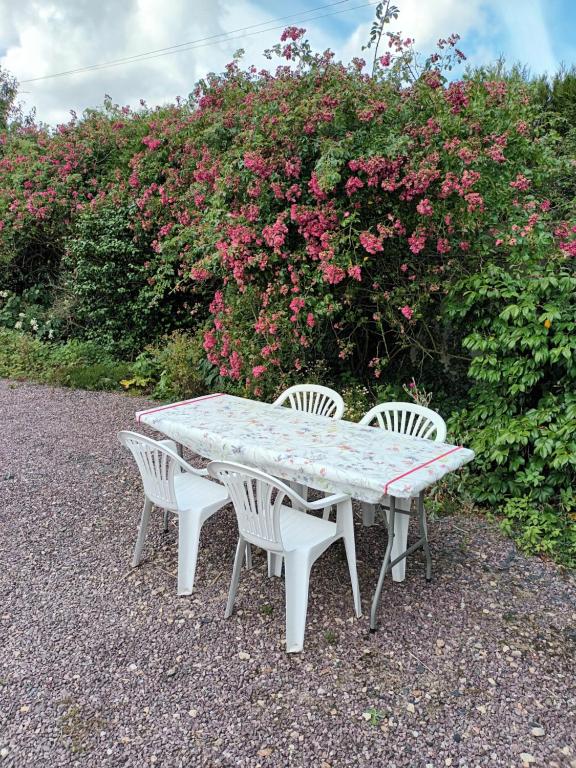 ecrin de fleurs et verdure - Two-Bedroom House