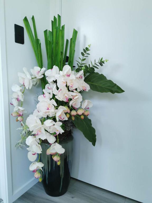 Paradise Retreat - Resim 31