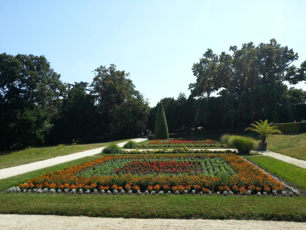 Zahrada ubytování Hotel Princess