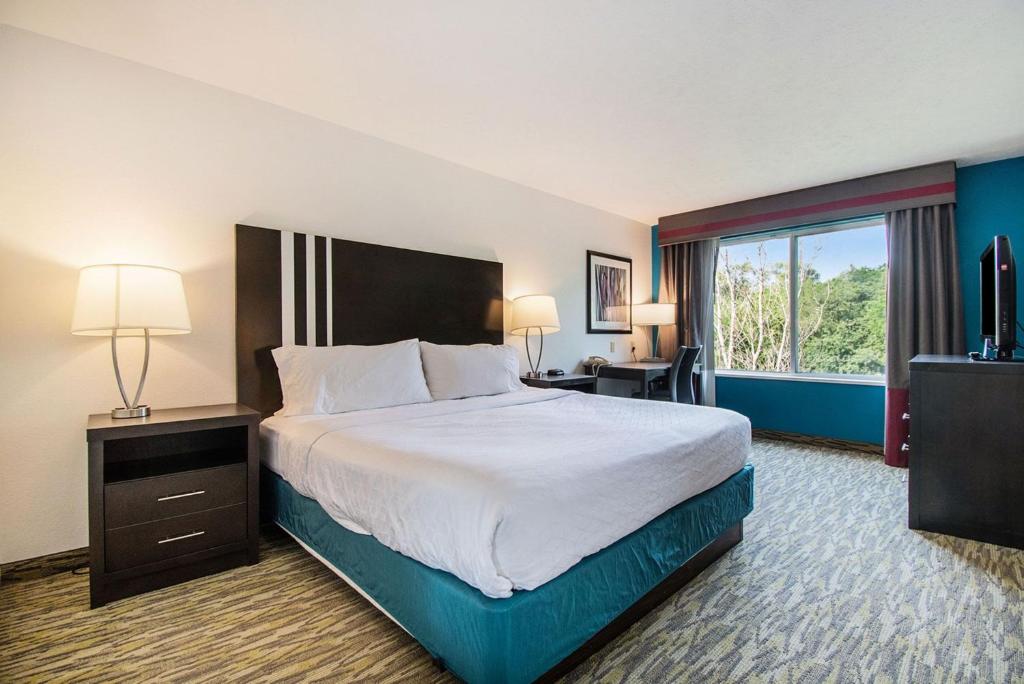 Holiday Inn Express Hotel & Suites Omaha West by IHG - Standard King Room