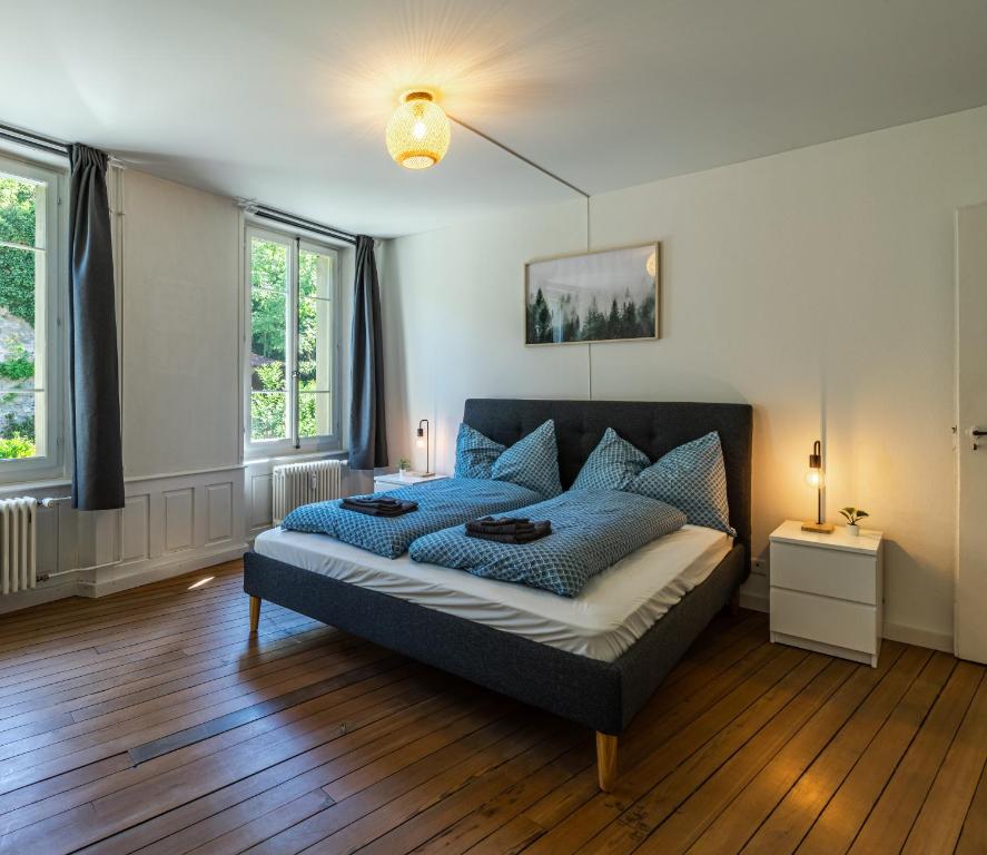 een slaapkamer met een bed met blauwe kussens bij Historische Wohnung im Herzen der Thuner Altstadt in Thun