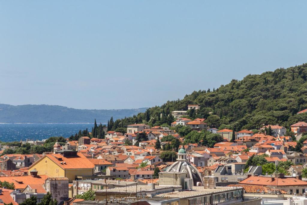 Příroda nedaleko apartmánu