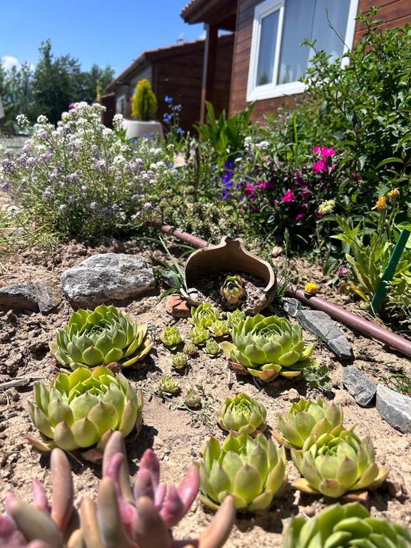 Las cabañas de Tino, Cimanes del Tejar – Updated 2023 Prices