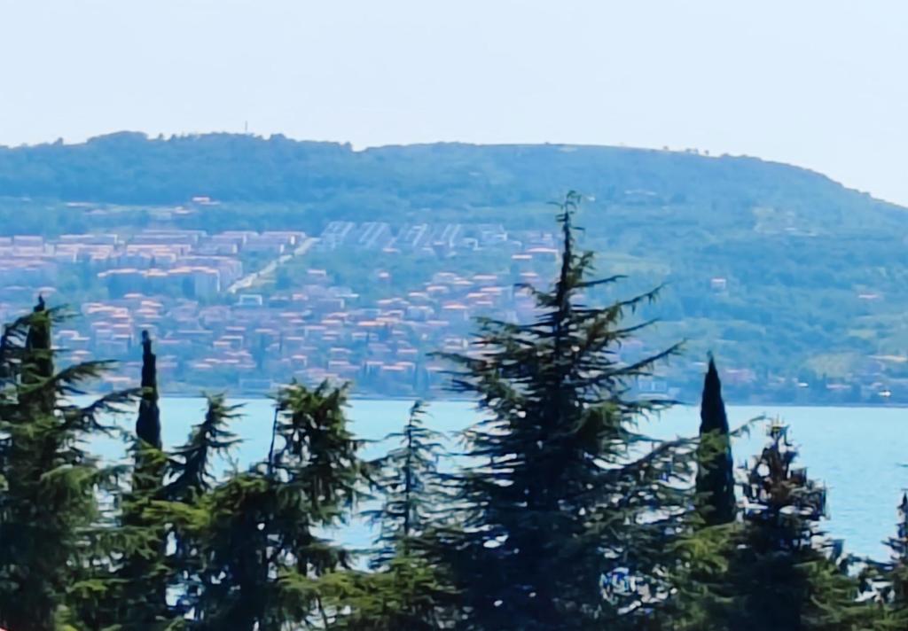 - Vistas a la ciudad desde el lago en Sončni apartma, en Ankaran