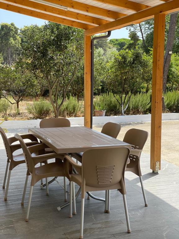 PINE HOUSE 2023 - Imazhi 6