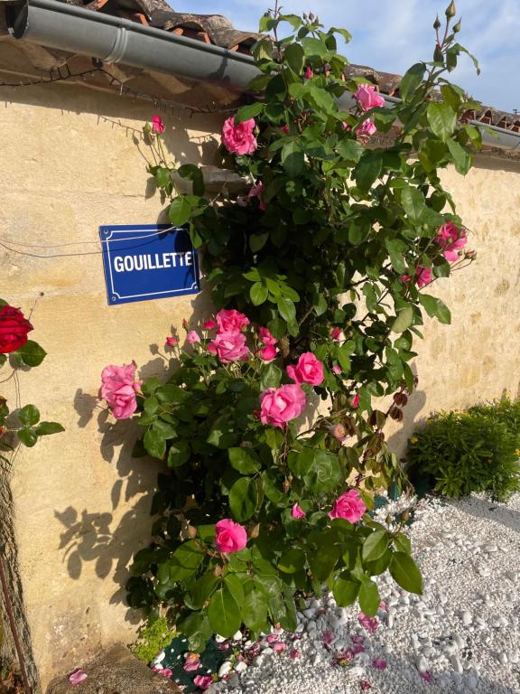 Saint-Pey-de-Castets的住宿－Gouillette，建筑物一侧的粉红色花丛