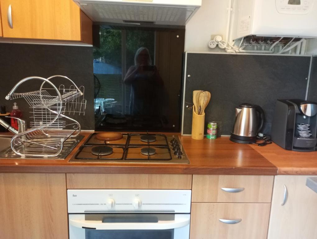 Kuchyň nebo kuchyňský kout v ubytování Appartement hyper centre 1 lorient Jardin clos