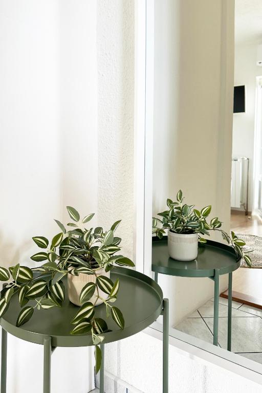 Holiday Apartments Soparin - 9