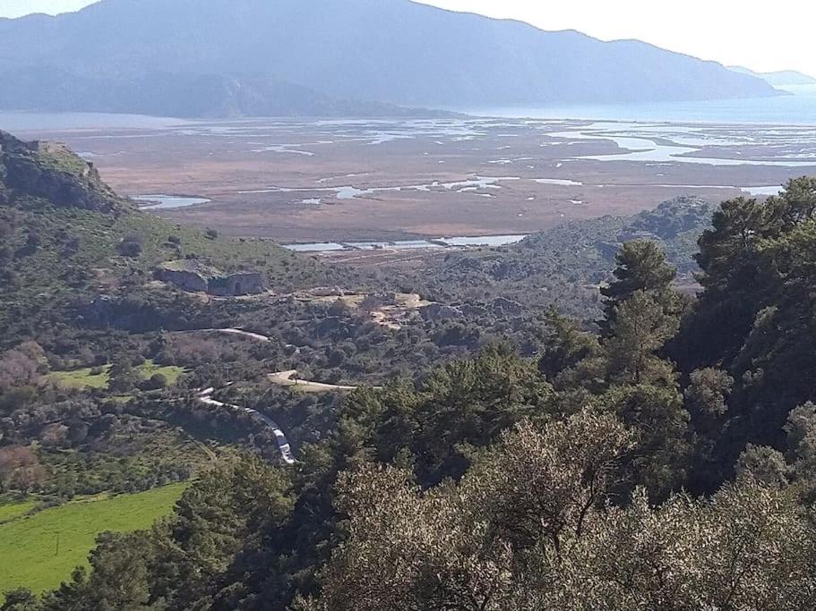 a view of a valley with trees and a river at Blue House in Mugla