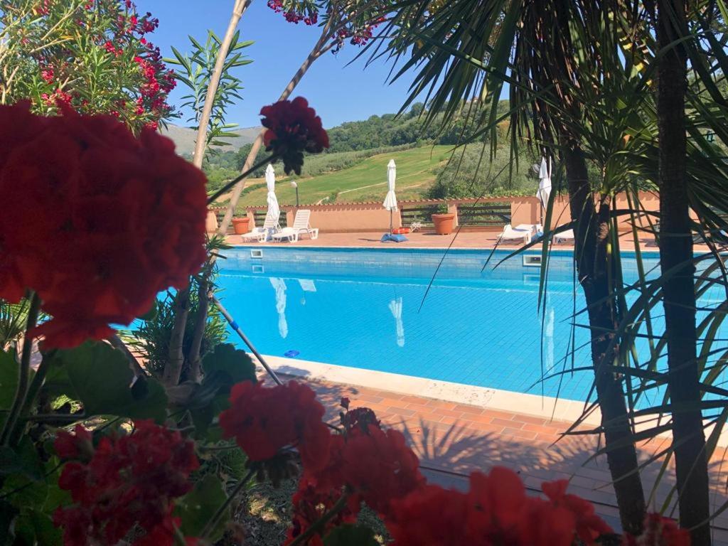 een zwembad voor een villa bij Rea Villa in Coltodino