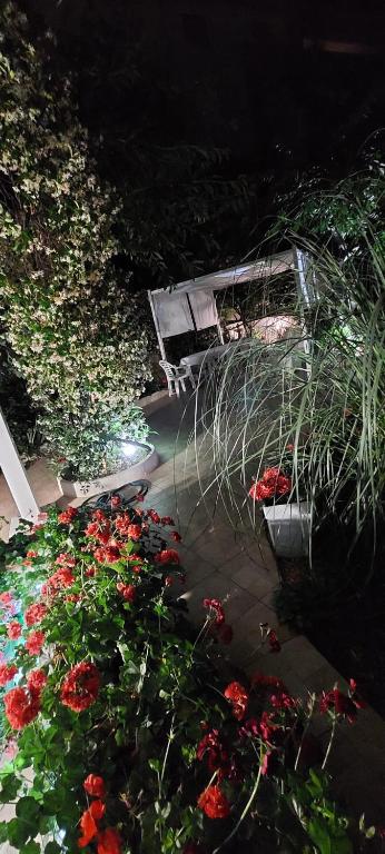 A garden outside Casa di Sofia