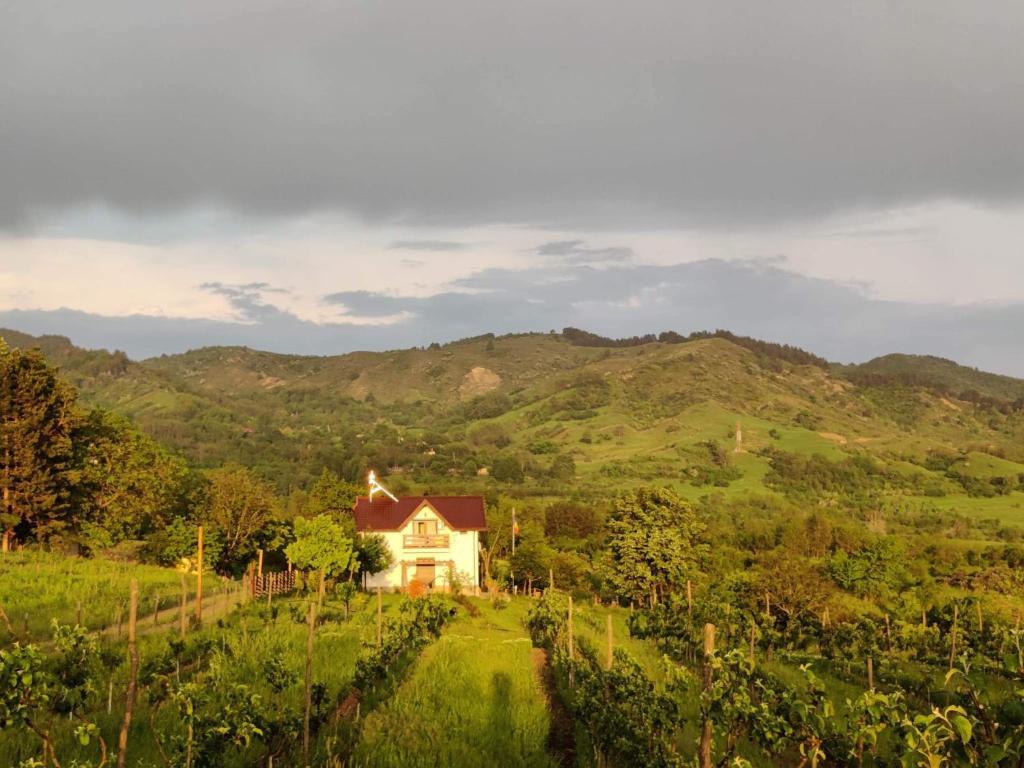 a house in a field with mountains in the background at Deleni Retreat - Casa Sitaru 
