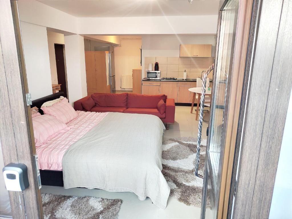 een slaapkamer met een bed en een woonkamer bij Studioul de Vis in Braşov