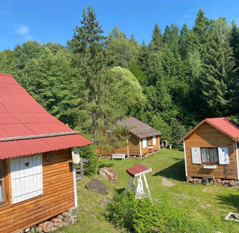 a group of wooden cottages in a forest at Homoród Lodge in Băile Homorod