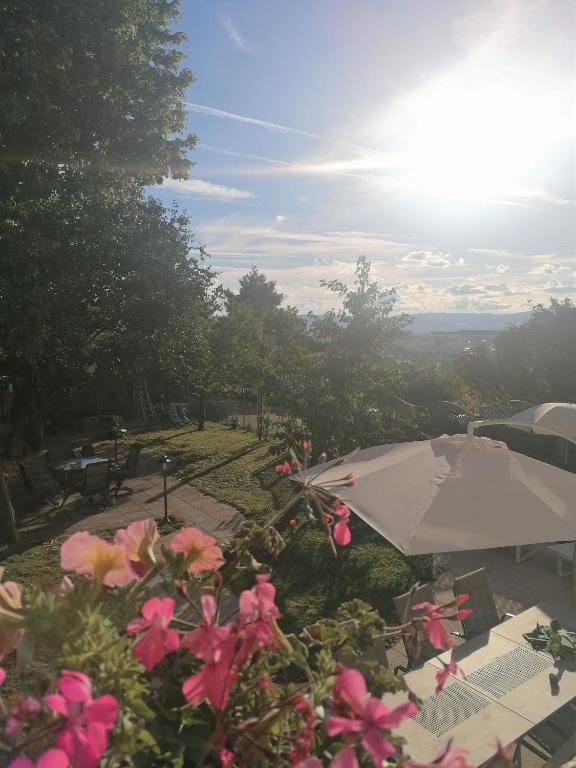 Paesaggio naturale nelle vicinanze dell'affittacamere
