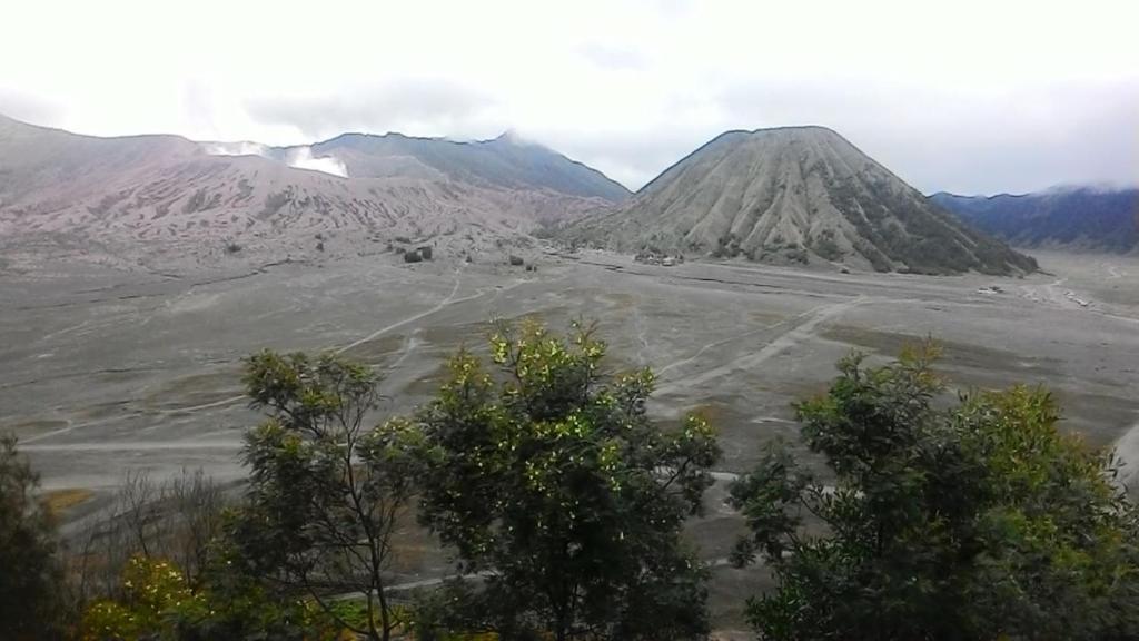 a view of a valley with mountains and trees at Mentigen Homestay in Ngadisari