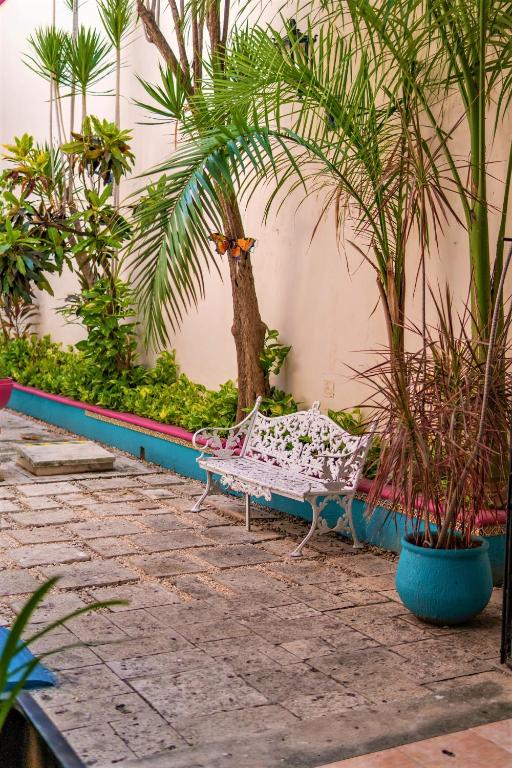 Zahrada ubytování Hotel San Juan Mérida