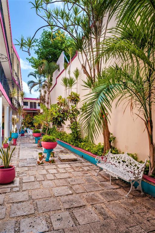 Zahrada ubytování Hotel San Juan Mérida