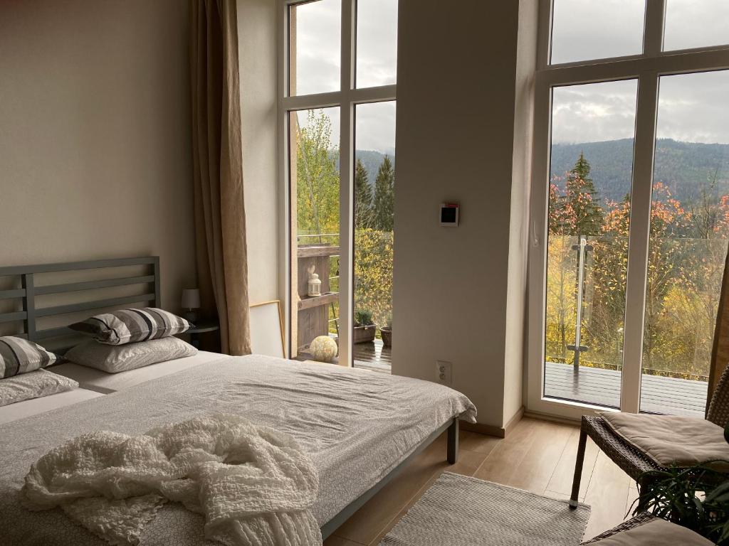 1 dormitorio con 2 camas y ventana grande en Apartmán Vyhlídka Hamry, en Hamry