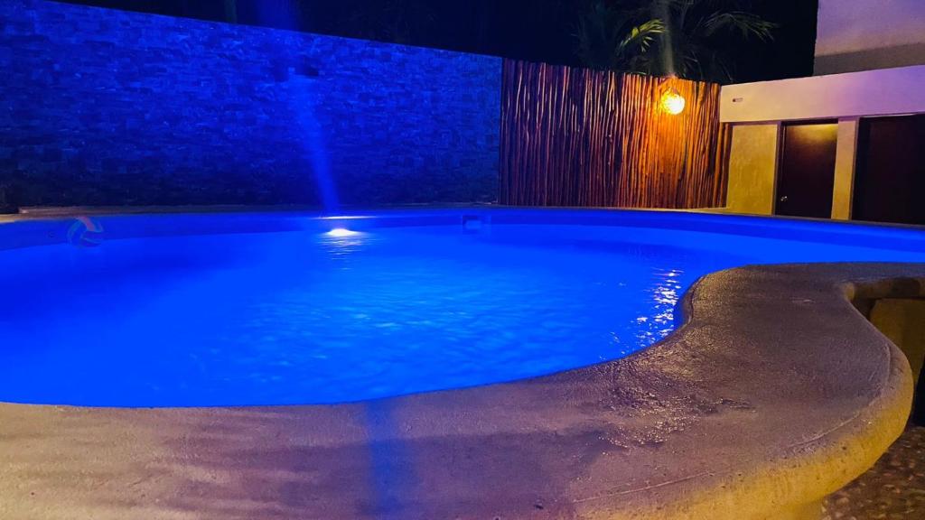 Bazén v ubytování CASA DELFINES RIO LAGARTOS nebo v jeho okolí