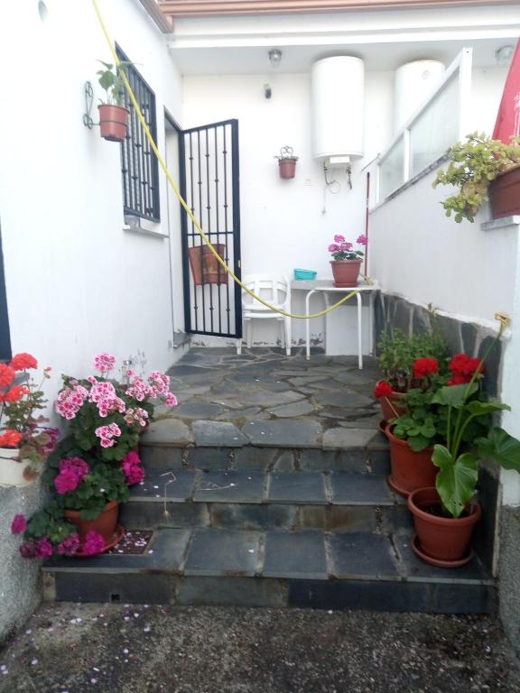 Vonkajšia záhrada v ubytovaní Apartamentos La Presa