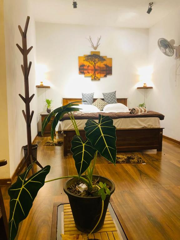 The kingdom of ella - 1