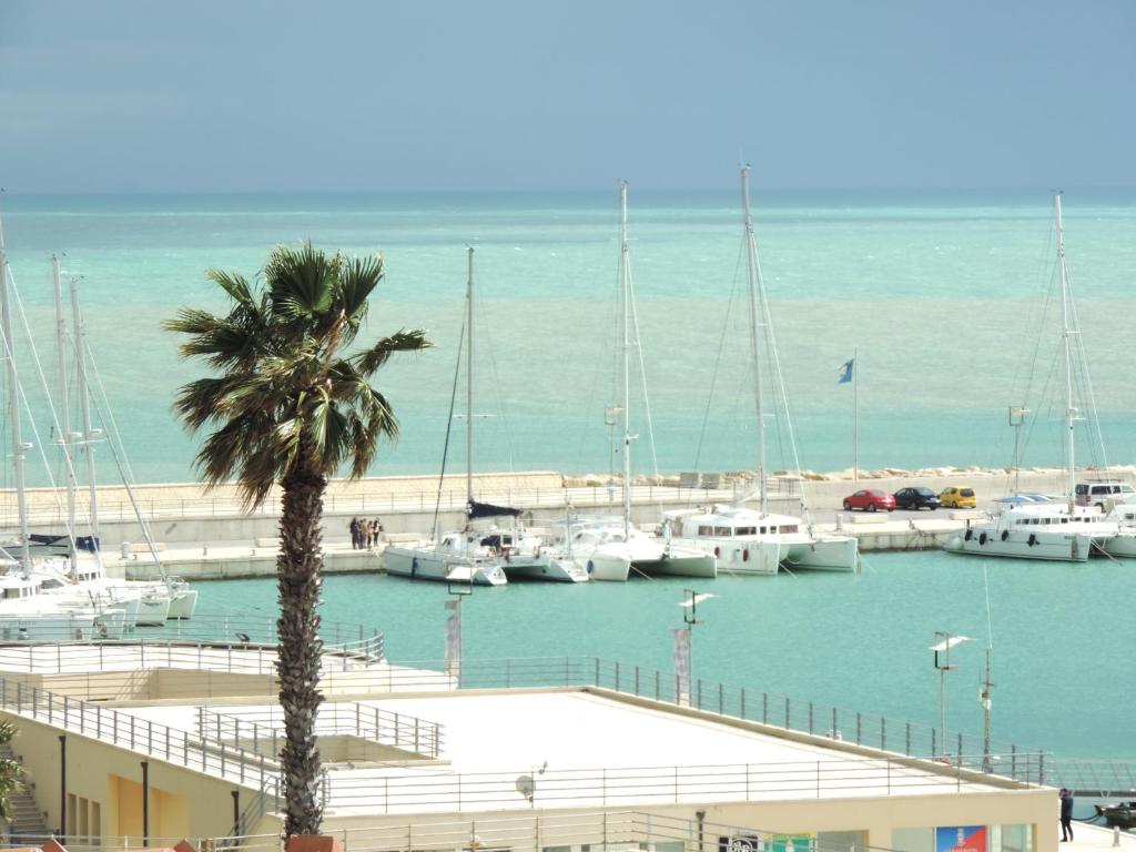 un gruppo di imbarcazioni ormeggiate in un porto turistico con una palma di Casa vacanze da Giovanni a Marina di Ragusa