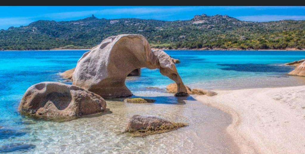 Appartamento Taras Sottovento - Porto Cervo - Two-Bedroom House
