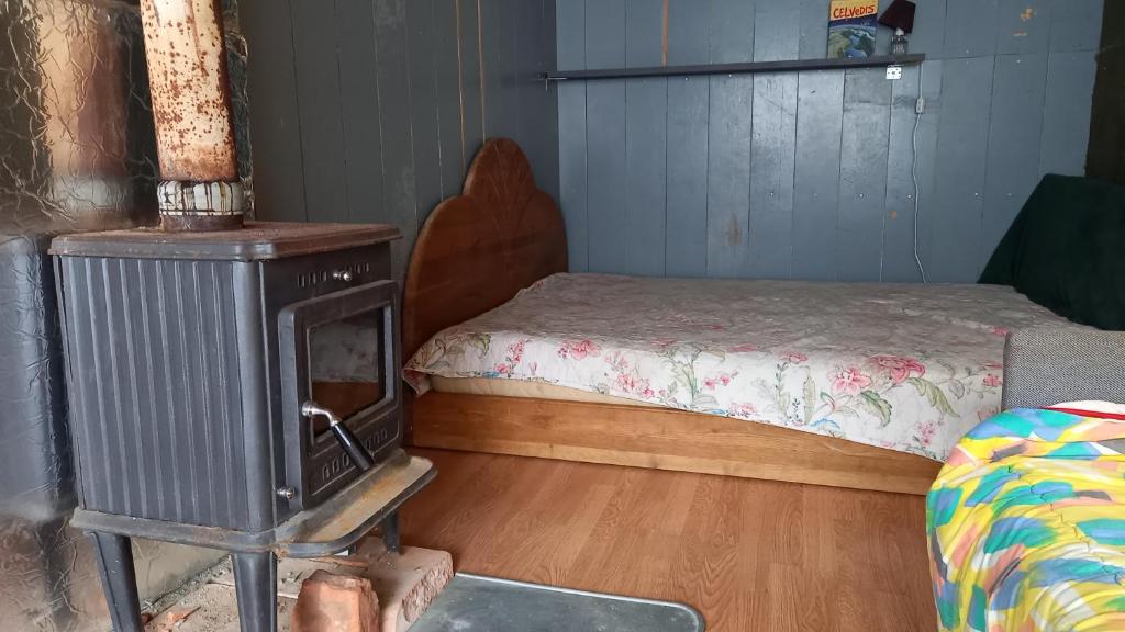 a room with a wood stove and a bed at Plesumi 