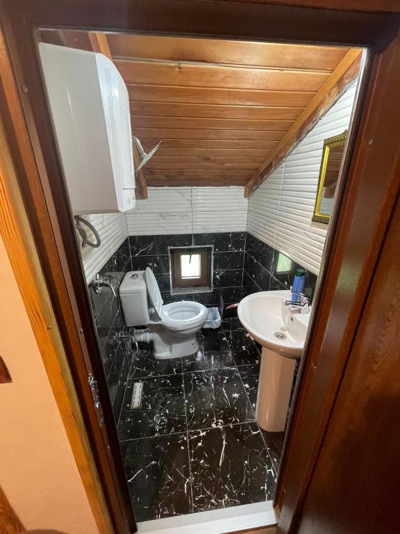 a bathroom with a toilet and a sink at natyra balcony in Valbonë