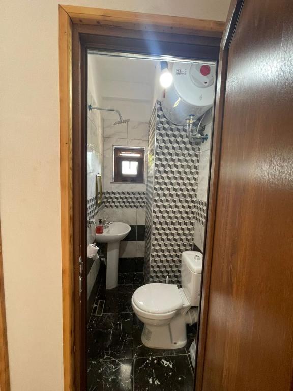 a bathroom with a toilet and a sink at natyra balcony in Valbonë