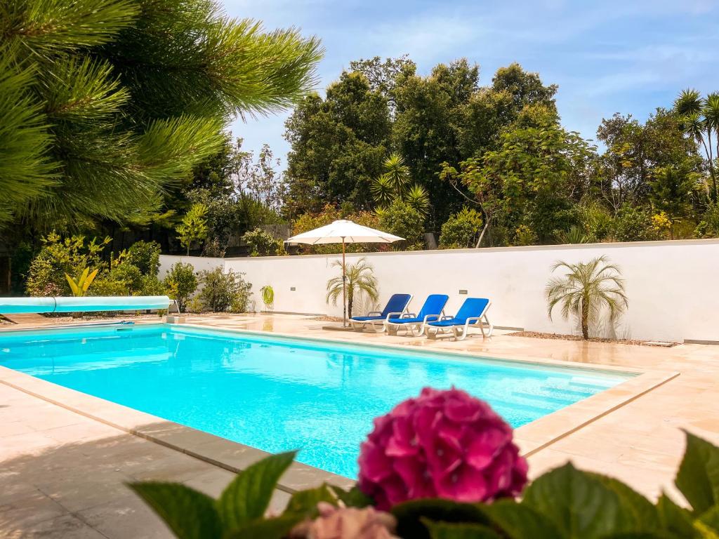 uma piscina com duas cadeiras azuis e uma flor rosa em Edles Apartment in Architektenvilla mit großem Pool, Sauna, Dachterrasse und malerischem Garten em Pataias