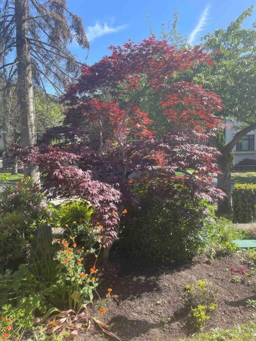 Zahrada ubytování 温西民宿 Vancouver West Quiet Home