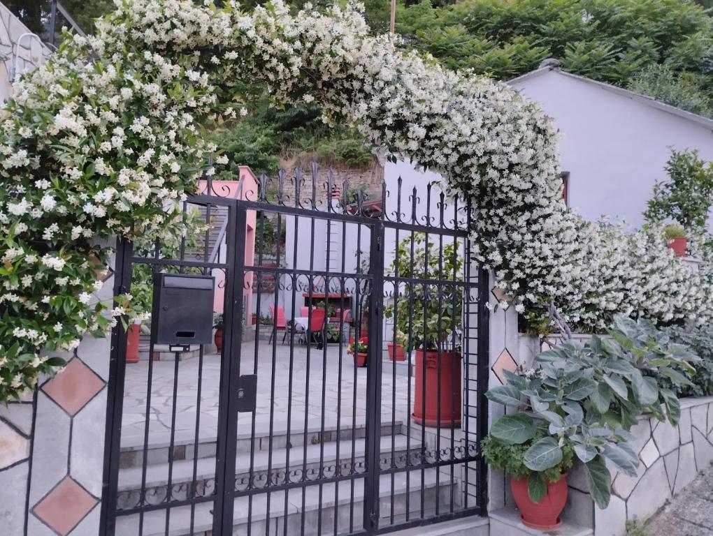 an iron gate with white flowers on it at spitaki in Kavala