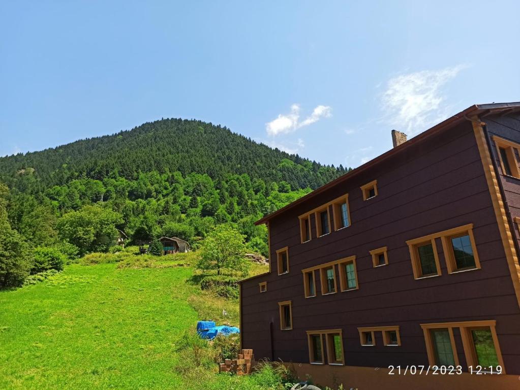 a house on a grassy hill with a mountain in the background at Kaya Palace in Çaykara