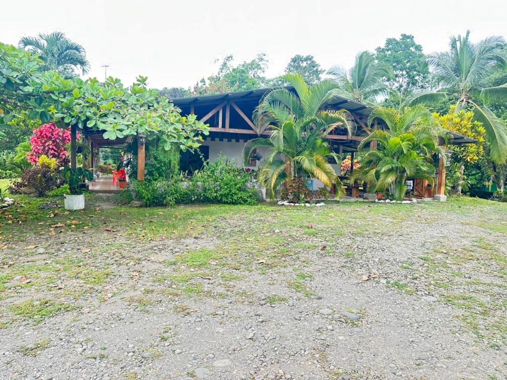 a house with palm trees in front of a yard at RIVER SIDE LODGE in Horquetas