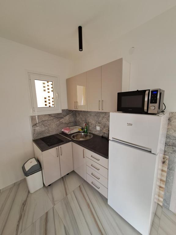 Kuchyň nebo kuchyňský kout v ubytování Apartments MileS