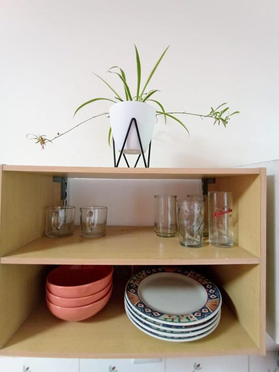 Fotografie z fotogalerie ubytování Nirvana Apartament Hostal v destinaci Alajuela