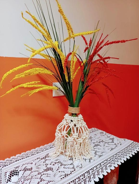 Fotografie z fotogalerie ubytování Nirvana Apartament Hostal v destinaci Alajuela