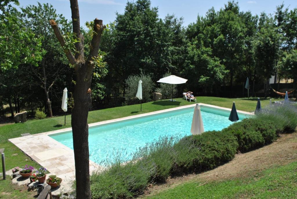 a swimming pool in a yard with a tree at Casa Linda in Siena