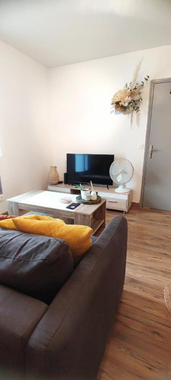 a living room with a couch and a television at Montpellier centre-ville in Montpellier