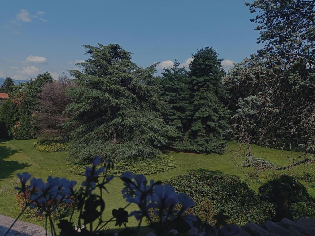 Zahrada ubytování Chez Queen B&B - Lake Como