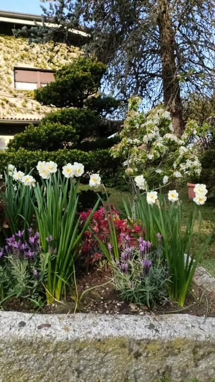 Zahrada ubytování Chez Queen B&B - Lake Como