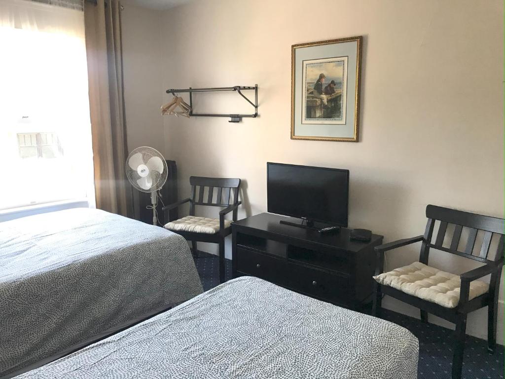 Windsor Guest House - 家庭间 - 带共用浴室
