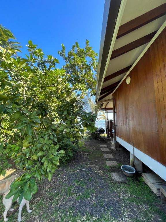 Aed väljaspool majutusasutust O'coco Bungalow- Breathtaking waterfront views, endless memories