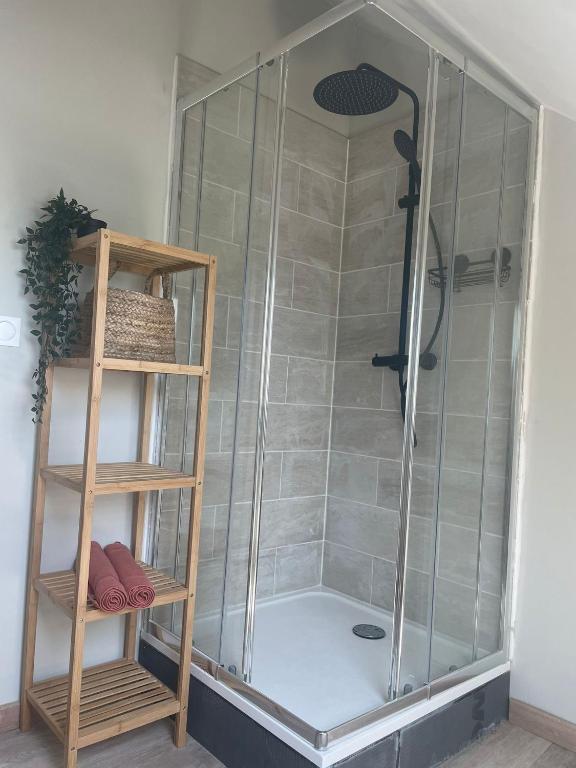 a shower with a glass door and a shelf at Mimosa* Proche Centre-Ville et CHU*Parking in Amiens