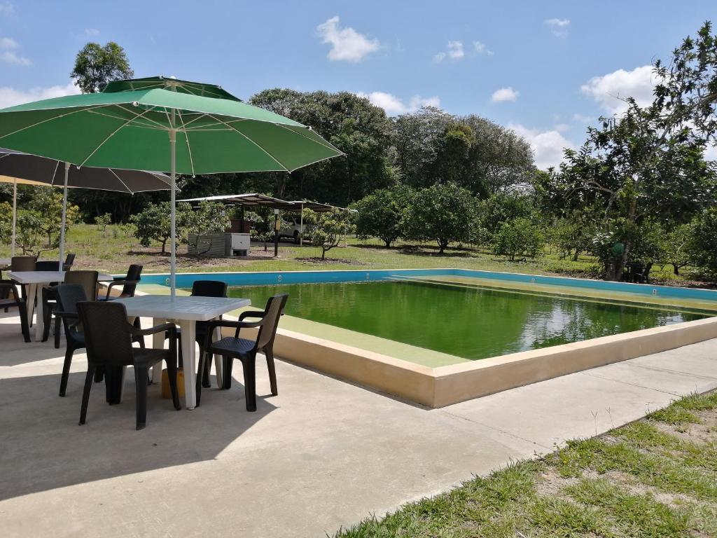 Monterrey的住宿－Centro agroecoturistico las heliconias，游泳池旁带遮阳伞的桌子