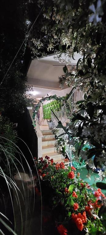 A garden outside Casa di Sofia